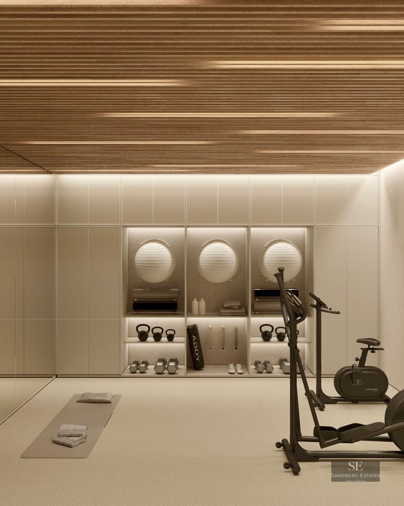 Modern gym with wooden slatted ceiling, elliptical trainer, weights, and exercise balls in integrated shelving.