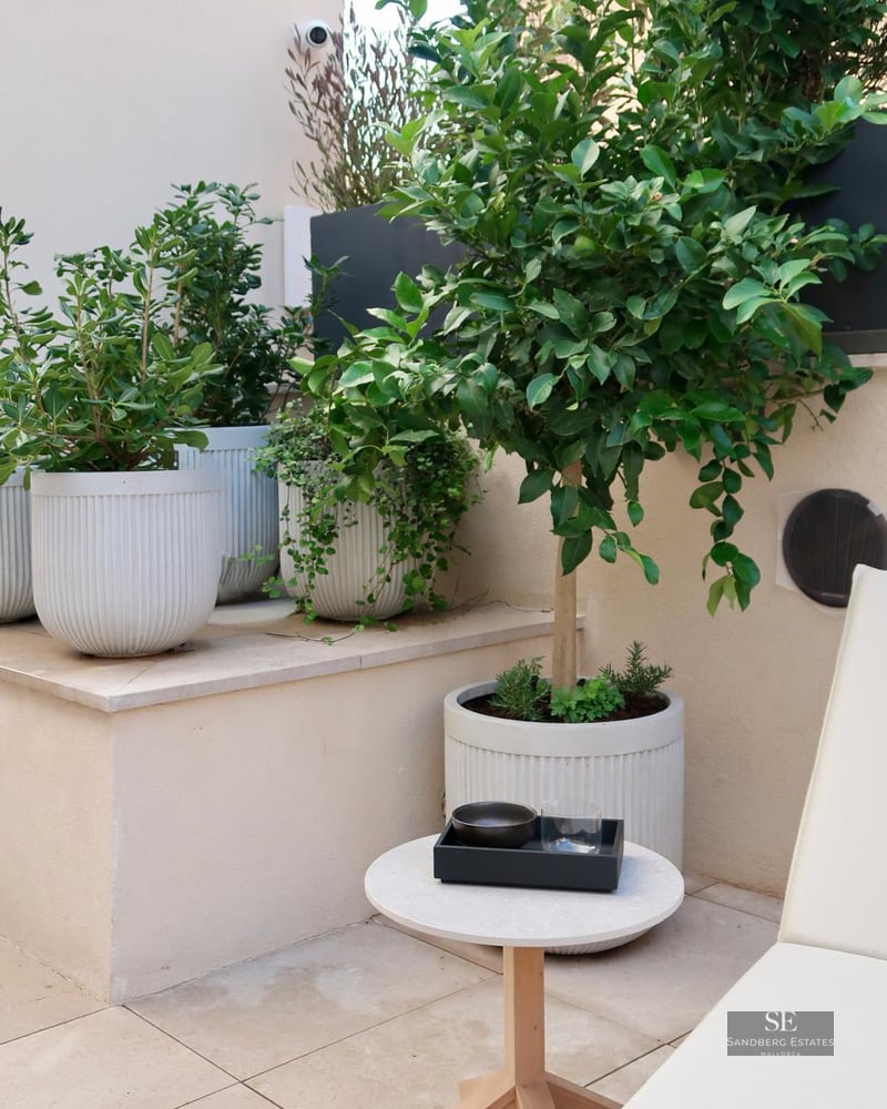 A modern terrace featuring white ribbed planters with green trees, a small stone table, and stone tile flooring.