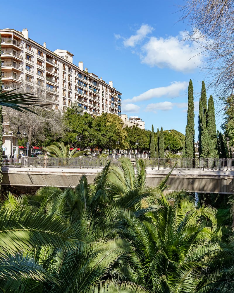 Un parc urbain ensoleillé avec des palmiers, un pont piétonnier et des immeubles d'appartements modernes.