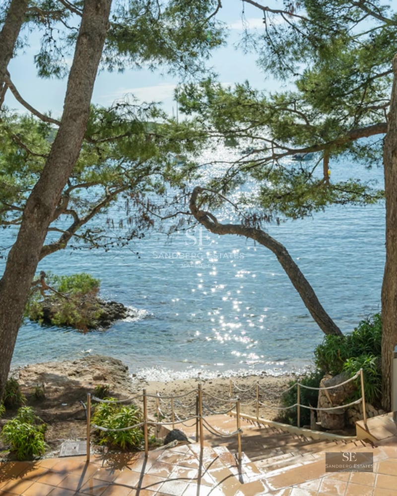 Spacious living room featuring floor-to-ceiling windows, light wood floors, a modern fireplace, and garden views. Minimalist and bright design.