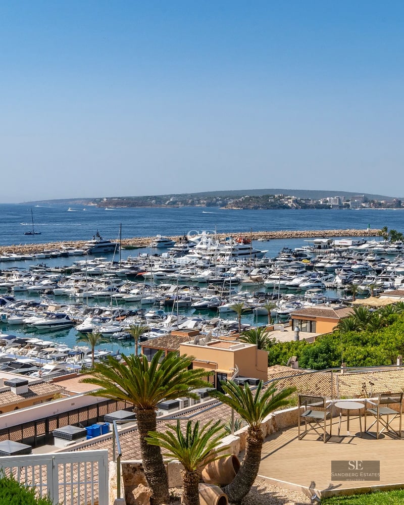 Exterior view of modern home with infinity pool. Minimalist architecture, large windows and lush garden.