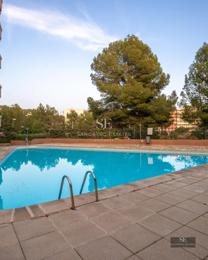 Vaste salon lumineux avec de grandes baies vitrées, parquet clair et vue panoramique sur la mer. Design moderne et élégant.