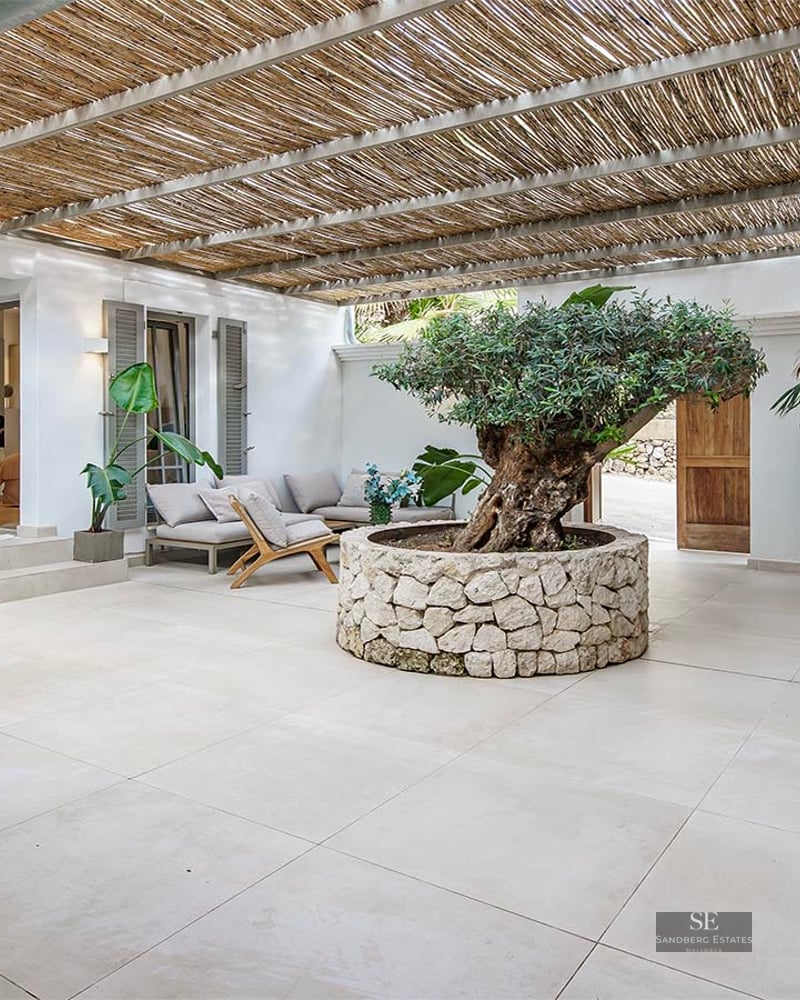Sunlit terrace featuring a central olive tree in a stone planter, a reed pergola, and elegant lounge furniture.