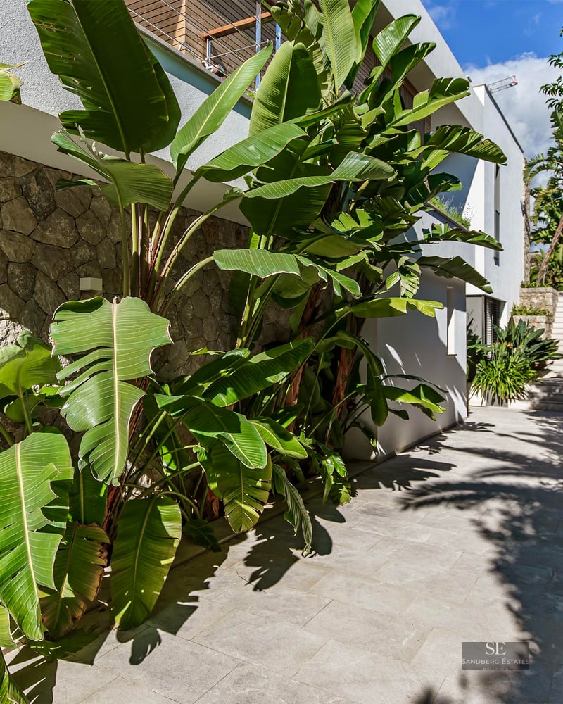 Chemin de pierre ensoleillé bordé de plantes tropicales et d'un mur en pierre à côté d'une villa blanche moderne.