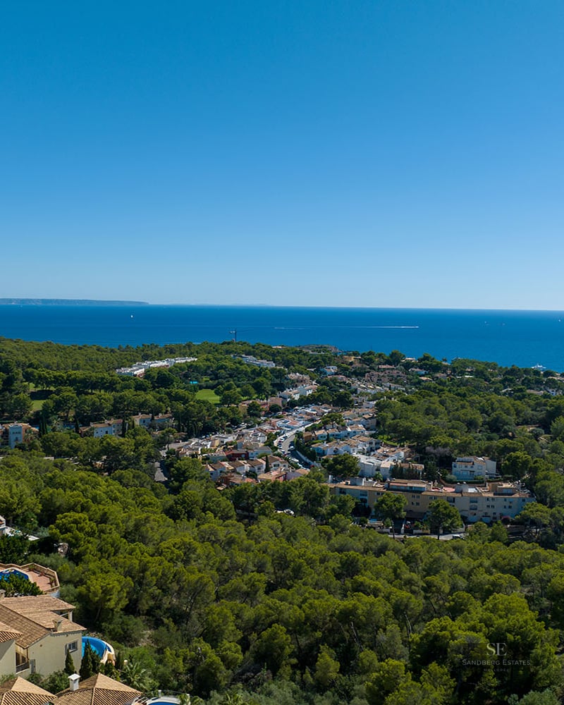 Aerial drone view of a lush green forest meeting a residential coastal town with the deep blue sea on the horizon.
