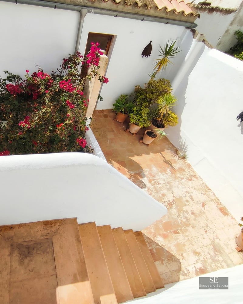 High-angle view of a white-walled courtyard with terracotta stairs, floor tiles, and lush potted bougainvillea.