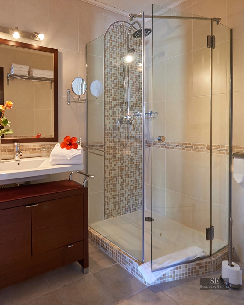 A bathroom featuring a dark wood vanity, a glass-enclosed walk-in shower with mosaic tiles, and a toilet.