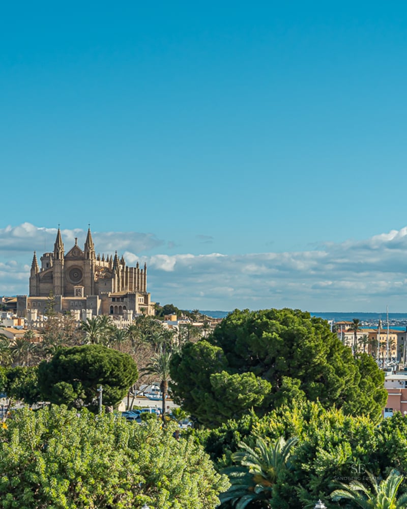 Wide view of the Palma de Mallorca Cathedral, a busy marina with yachts, and lush green trees under a bright blue sky.