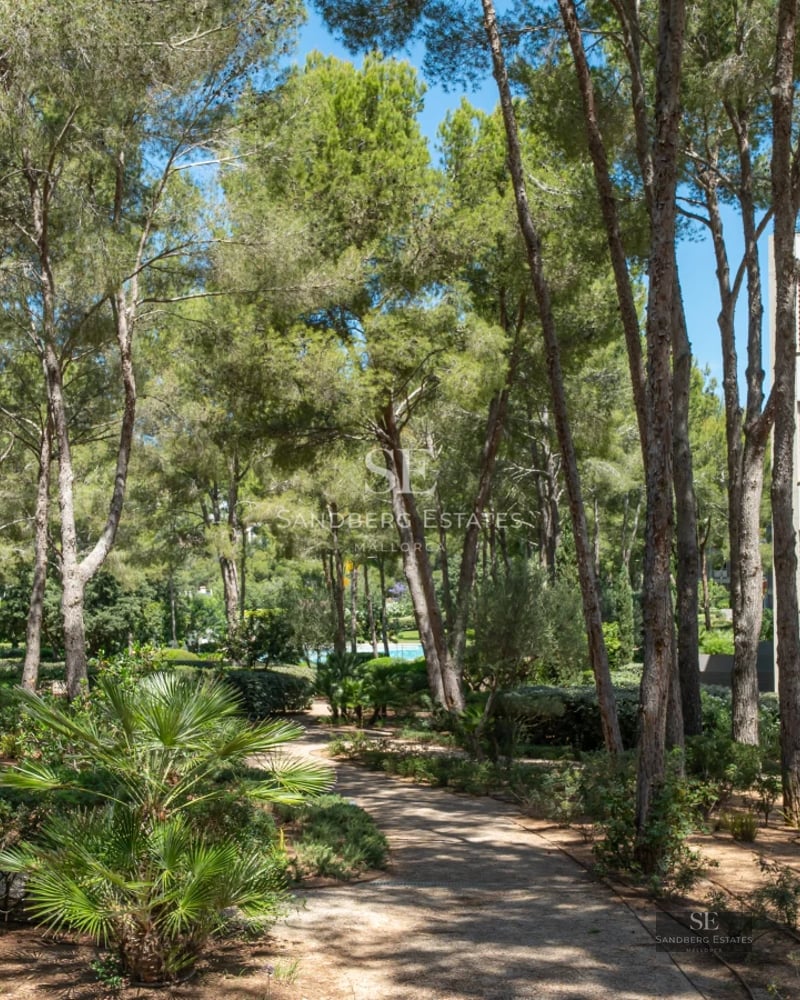 Exterior view of a modern villa featuring an infinity pool, lush garden, and spacious terraces. Minimalist and elegant architectural design.