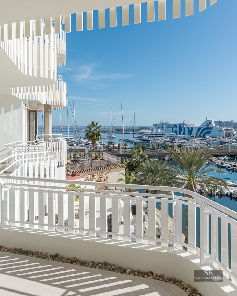 Large modern white terrace overlooking a sunny marina filled with boats and palm trees under a clear blue sky.