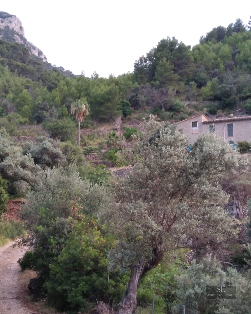 Traditional stone house nestled on a forested hillside with a dirt path and mountains in the background.