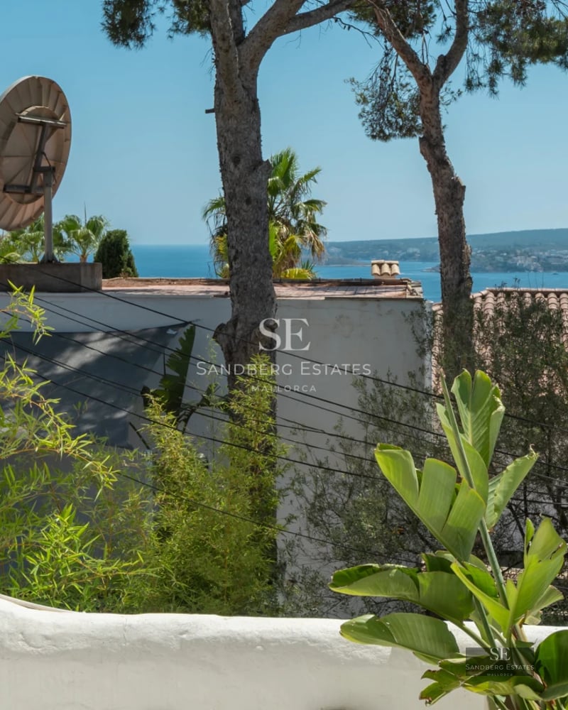 Spacious living room featuring a modern fireplace, large windows, light wood flooring, and designer furniture. Natural lighting and cozy atmosphere.