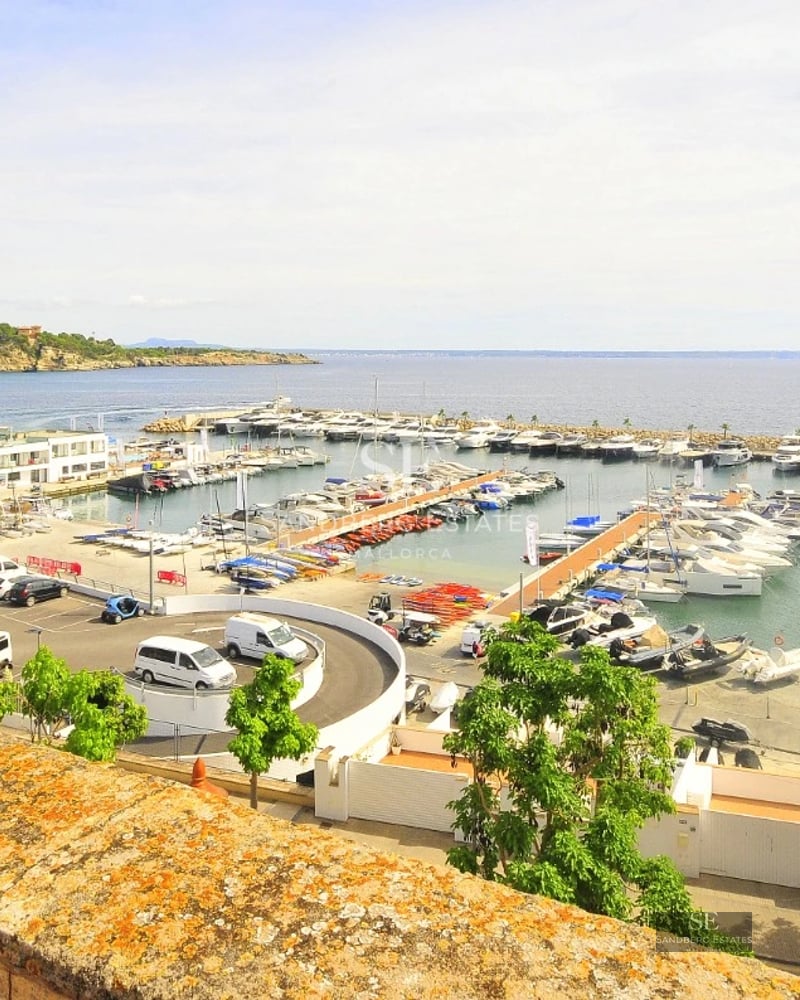 Spacious garden with pool, sun loungers, and seating area. Modern design, natural lighting, and neutral color palette.