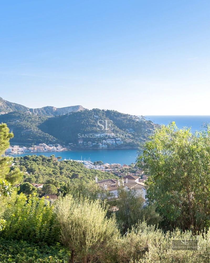Exterior view of a modern villa featuring a pool, lush garden, and minimalist architecture. Large windows reflecting sunlight.