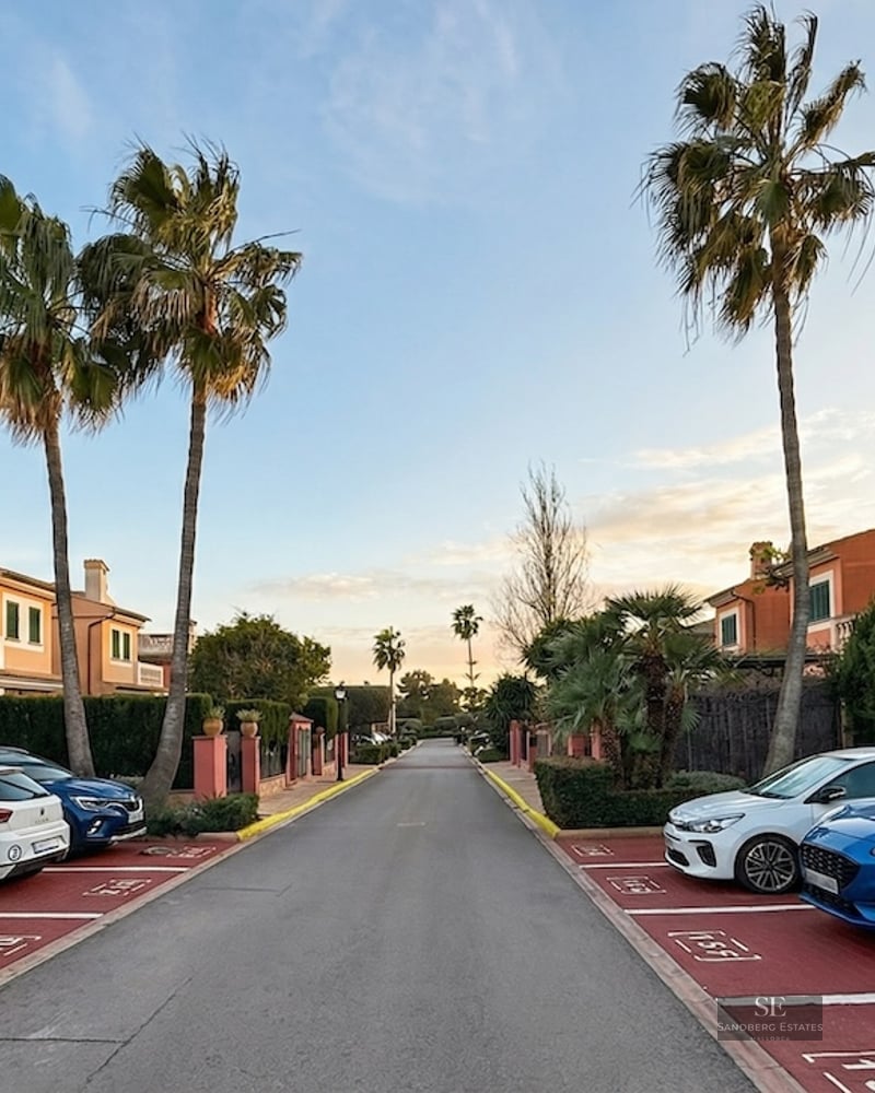 A residential street lined with palm trees, Mediterranean-style houses, and marked parking stalls with cars.