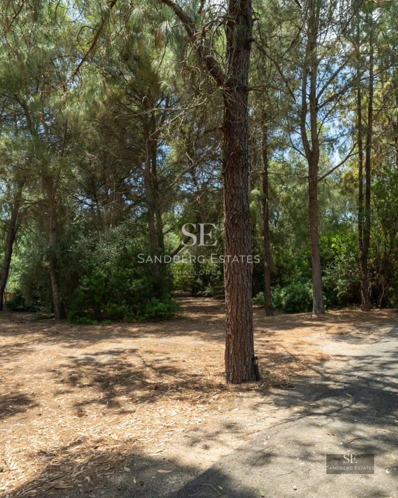 View of a modern villa with an infinity pool, lush garden, and spacious terraces. Contemporary design with high-end finishes.