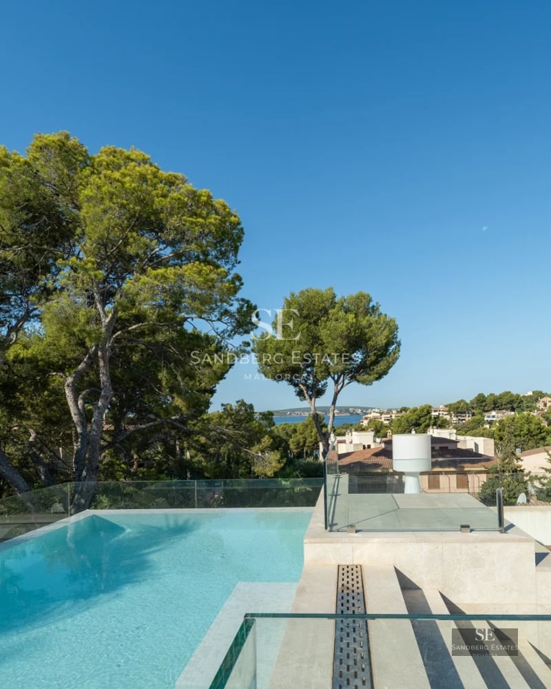 Exterior view of a modern house with a pool, lush garden, and large windows. Minimalist and elegant architecture.