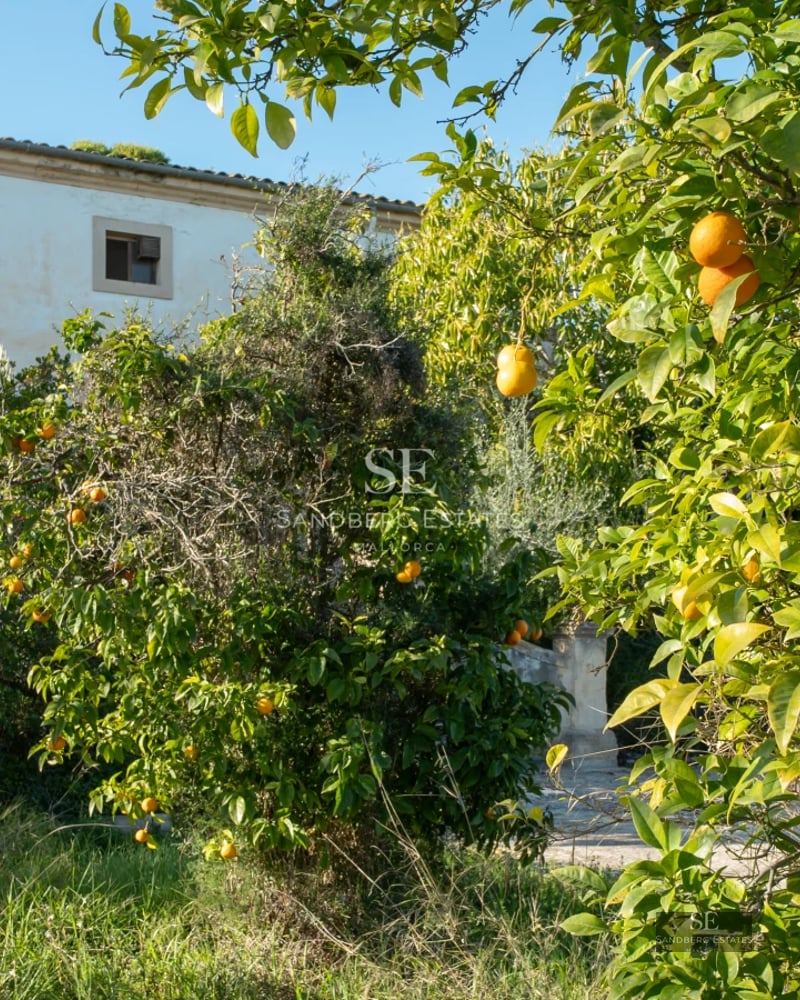 View of a luxurious villa with an infinity pool. Modern design, large windows, spacious terrace, and lush vegetation.