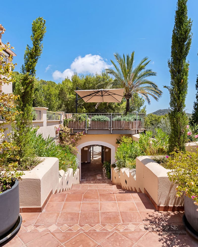 Terracotta stairs flanked by large planters and cypress trees leading to a shaded terrace under a bright blue sky.