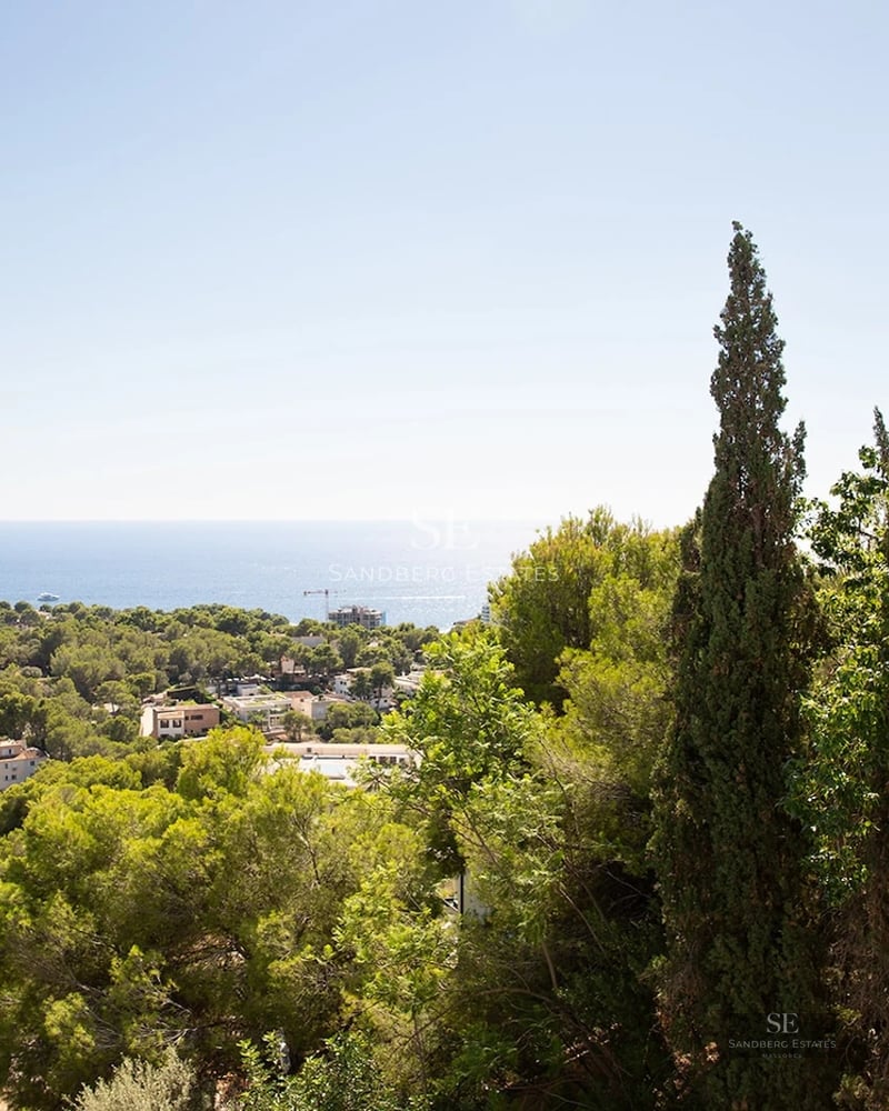 Panoramic view of the blue Mediterranean Sea over a lush green forest and coastal town under a clear sky.