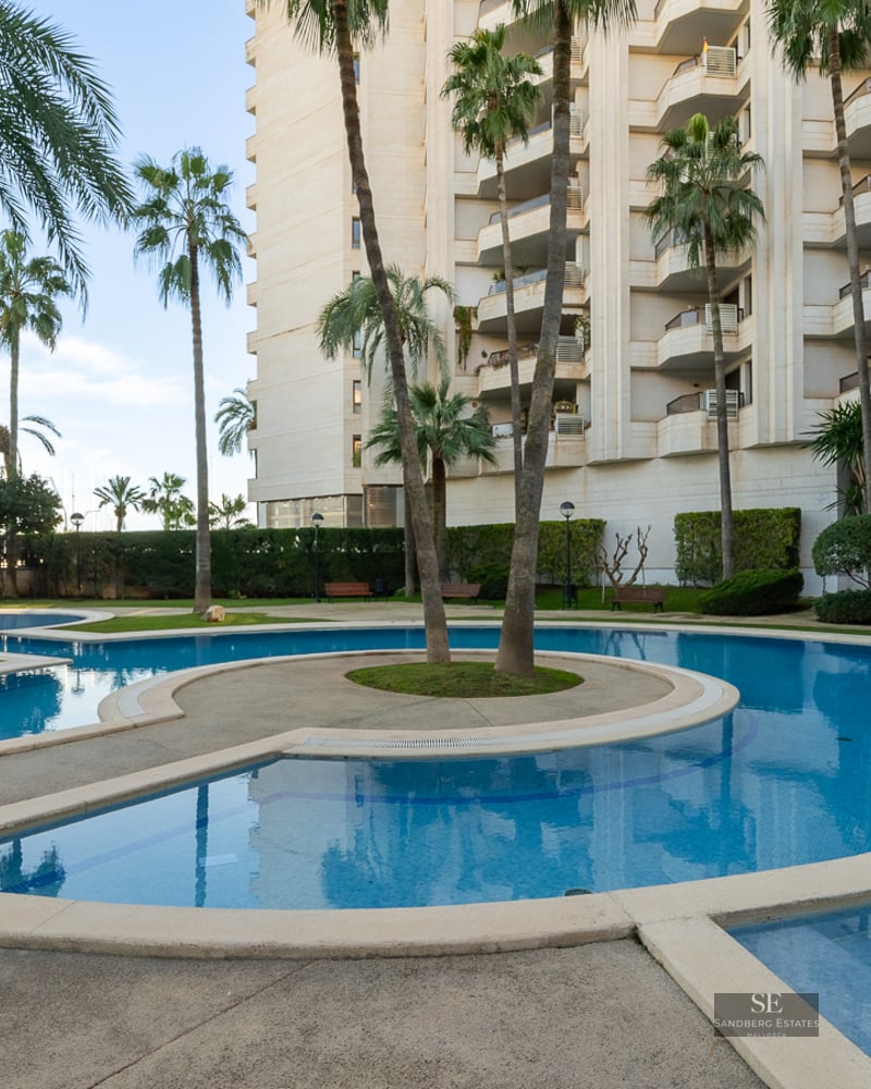 Large curved swimming pool surrounded by tall palm trees and a residential building under a clear sky.