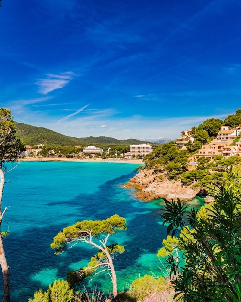 Turquoise water bay surrounded by pine trees and hillside houses under a clear blue sky.
