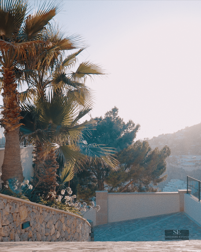 Stone stairs leading to a sunlit terrace with palm trees and lounge chairs overlooking a mountain valley.