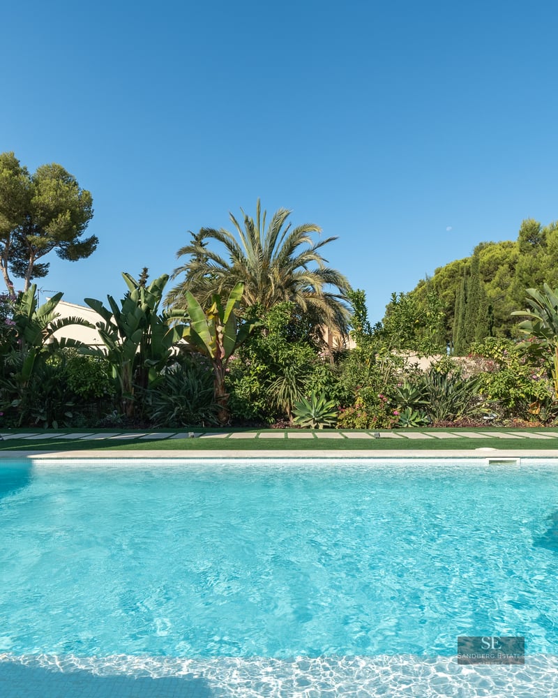 A turquoise rectangular swimming pool surrounded by lush tropical plants and a modern white villa under a clear blue sky.