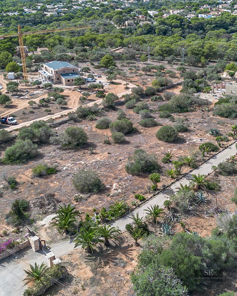 Drone shot of a large property featuring stone buildings, a long palm-lined driveway, and lush natural vegetation.