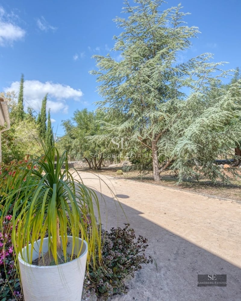 Expansive terrace with infinity pool. Modern design, panoramic views. Designer outdoor furniture. Soft ambient lighting.