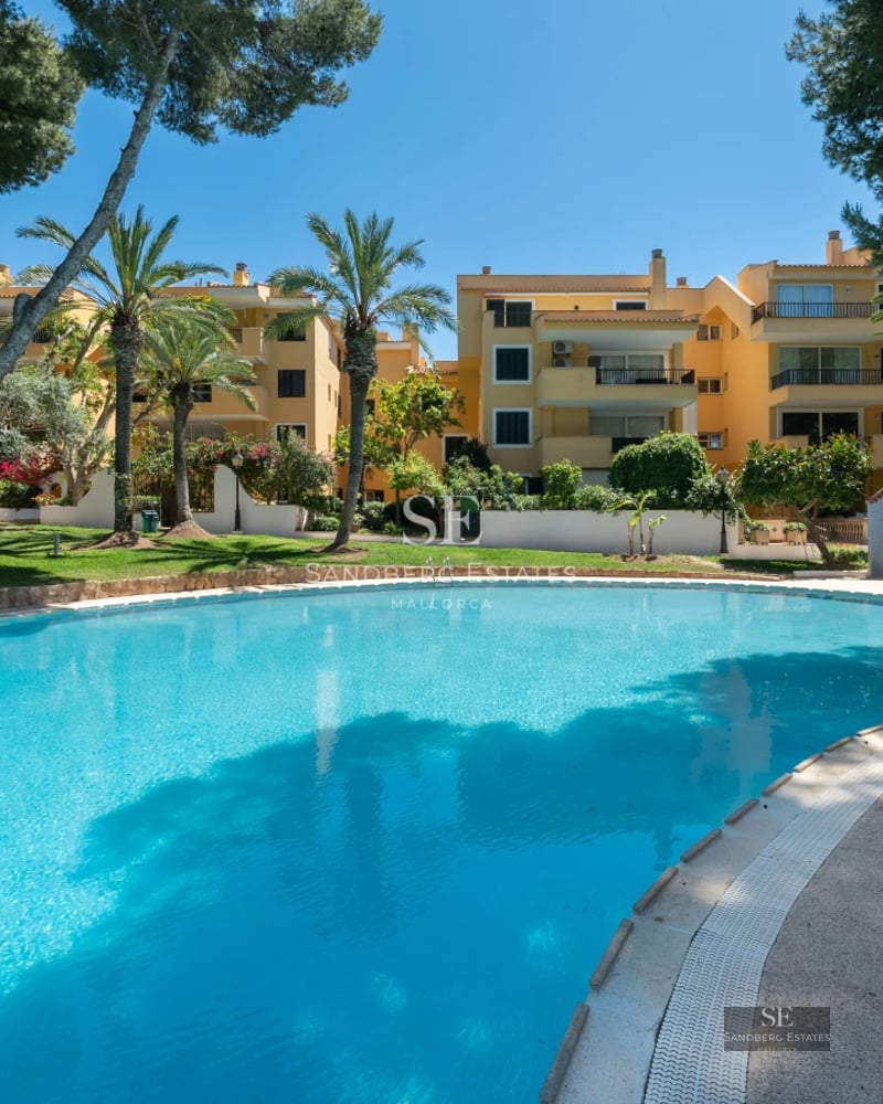 Aerial view of a luxurious property with infinity pool, garden, and modern architectural design. Flat roofs, large windows, and manicured landscaping.
