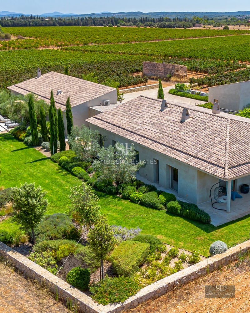 Image of a modern villa with a swimming pool, large windows, designer furniture, and lush vegetation.