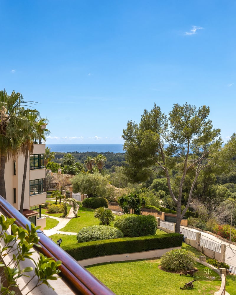 Vue d'un balcon sur un jardin méditerranéen avec des palmiers et la mer bleue au loin par temps clair.