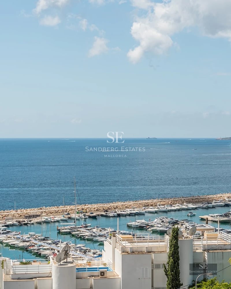 Exterior view of a modern villa with a pool, sun loungers and garden. Minimalist architecture and sophisticated landscaping.
