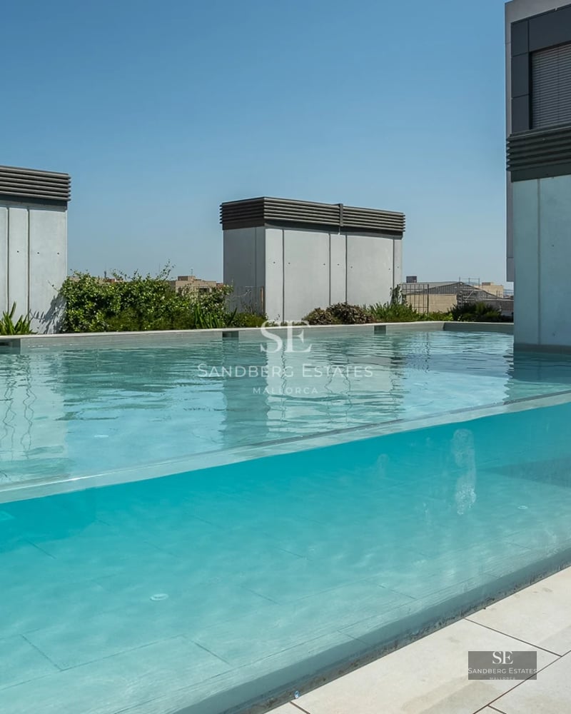 Exterior view of a modern home with pool, large garden, and minimalist architecture. Brightness and contemporary design.