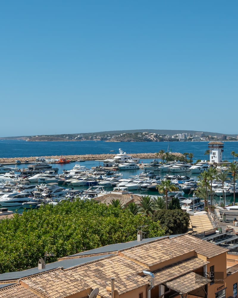 Panoramic view of a luxury marina filled with white yachts under a clear blue sky, overlooking the Mediterranean Sea.