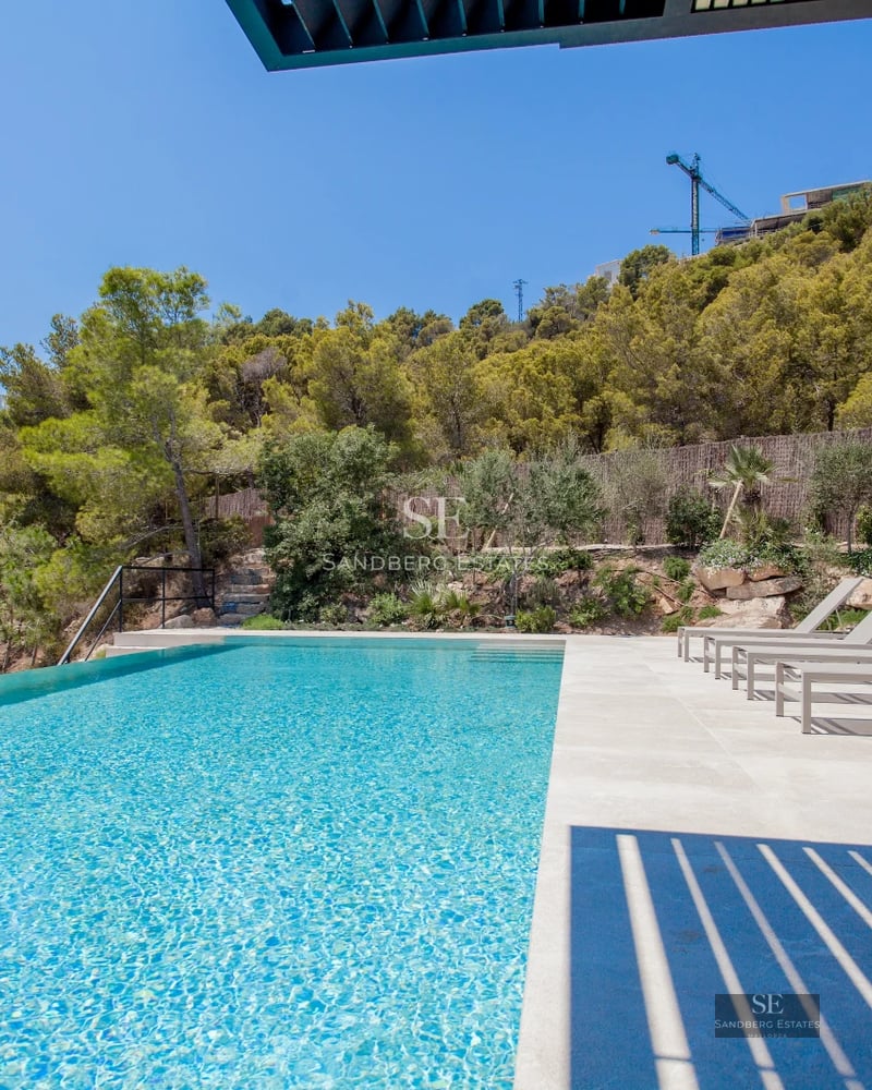 Spacious, bright living room with large windows, light wood flooring, modern fireplace, and minimalist furniture.