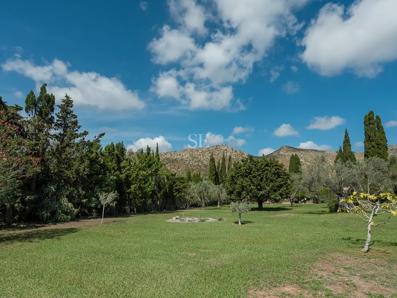 Pelouse verdoyante entourée d'arbres matures et de cyprès sous un ciel bleu avec des montagnes en arrière-plan.