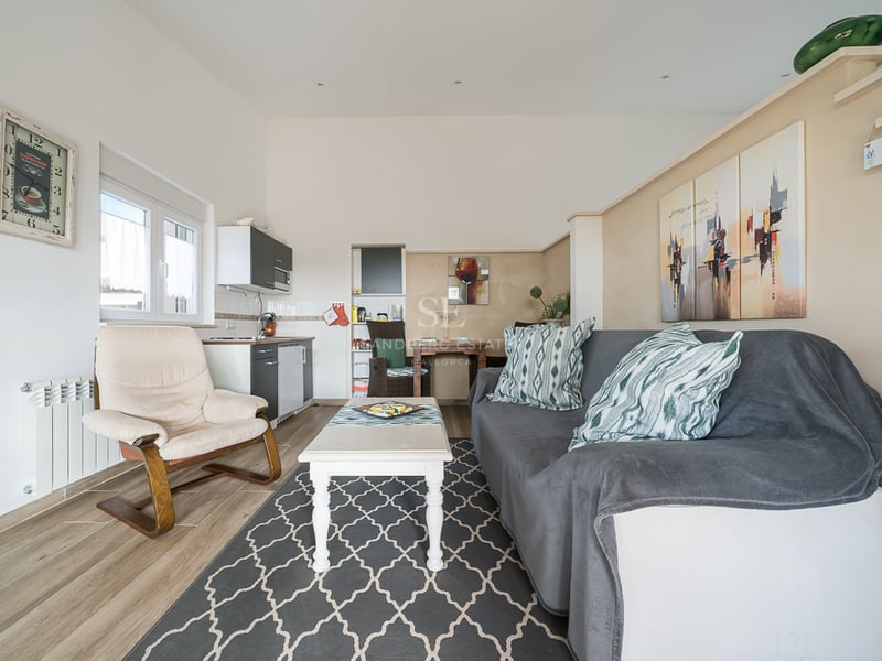 Salon lumineux avec canapé gris, fauteuil crème, tapis à motifs et kitchenette moderne sur murs blancs.