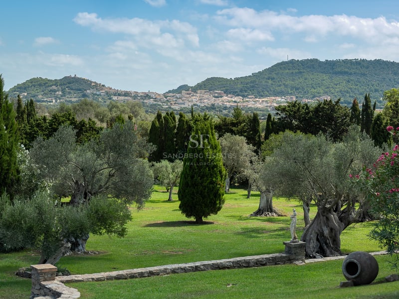 Jardin méditerranéen luxuriant avec oliviers centenaires et murets en pierre, vue sur les montagnes et un village.