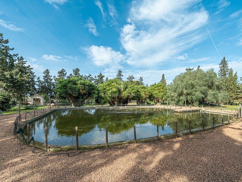 Un grand étang naturel de forme ovale entouré d'une clôture basse et d'arbres méditerranéens matures sous un ciel bleu.