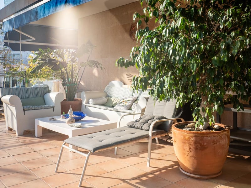 Sonnige Terrasse mit weißen Sofas, grauer Liege, Terrakottaboden und großen Pflanzen unter einer blauen Markise.