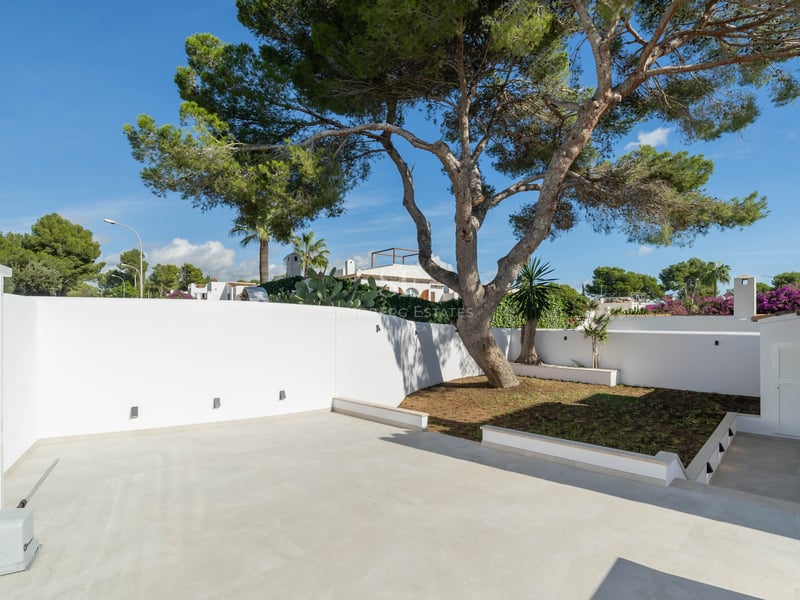 Terrasse extérieure lumineuse avec murs blancs, carrelage gris clair et un grand pin sous un ciel bleu.