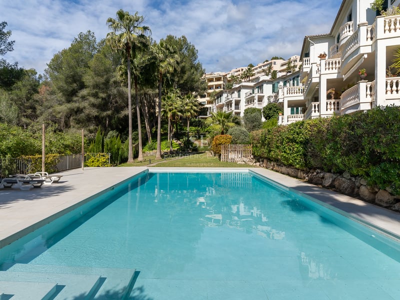 Large rectangular turquoise swimming pool with white stone decking, surrounded by palm trees and white apartments.