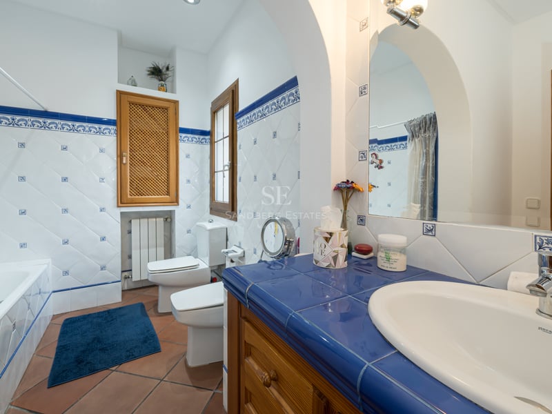Bathroom featuring blue and white decorative tiling, terracotta floors, wooden vanity, and white ceramic fixtures.