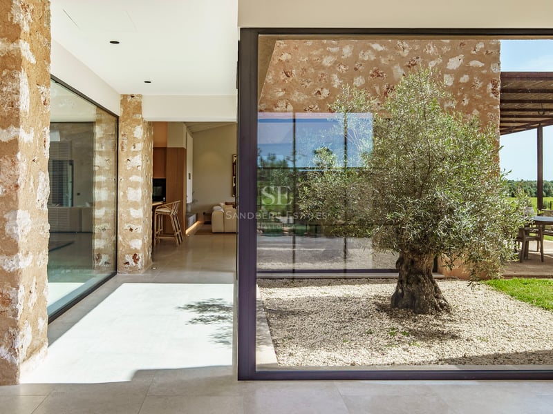 Verglaster Innenhof mit einem alten Olivenbaum, Natursteinwänden und hellem Kies in einer modernen Villa.