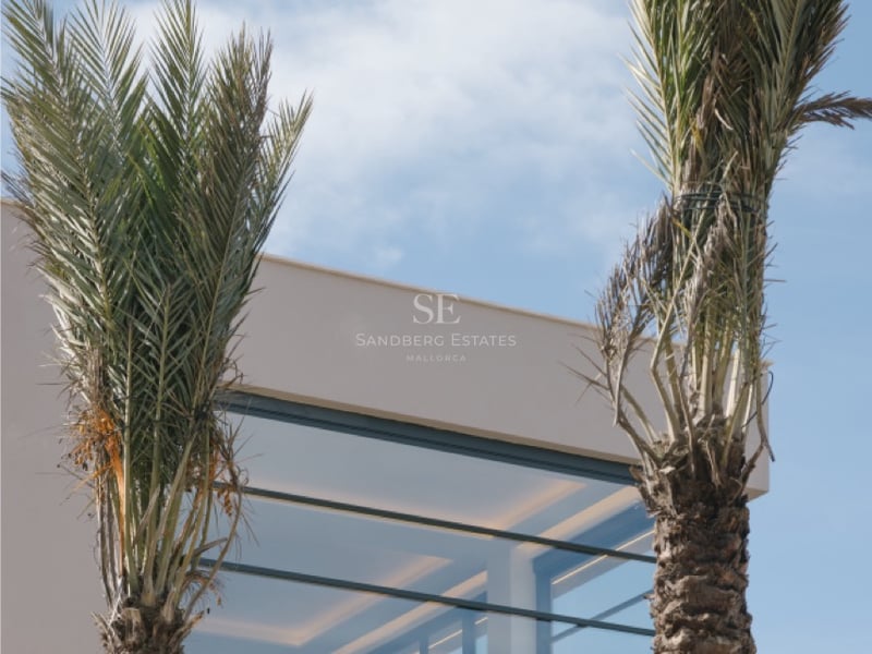 Außenansicht einer modernen weißen Villa mit bodentiefen Glasfronten und Palmen vor blauem Himmel.