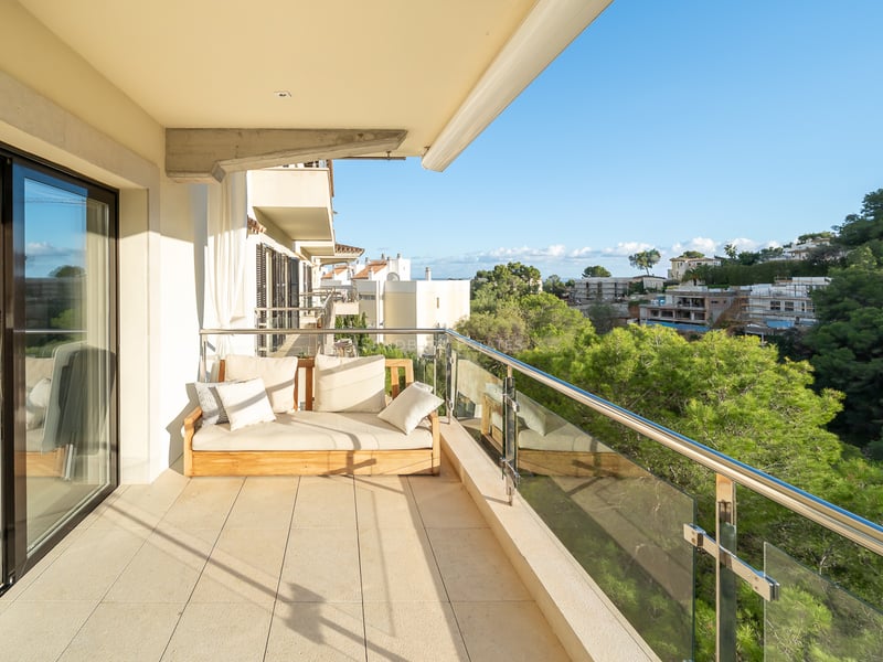 Modern balkong med träsoffa och glasräcke med utsikt över en frodig tallskog under en klarblå himmel.