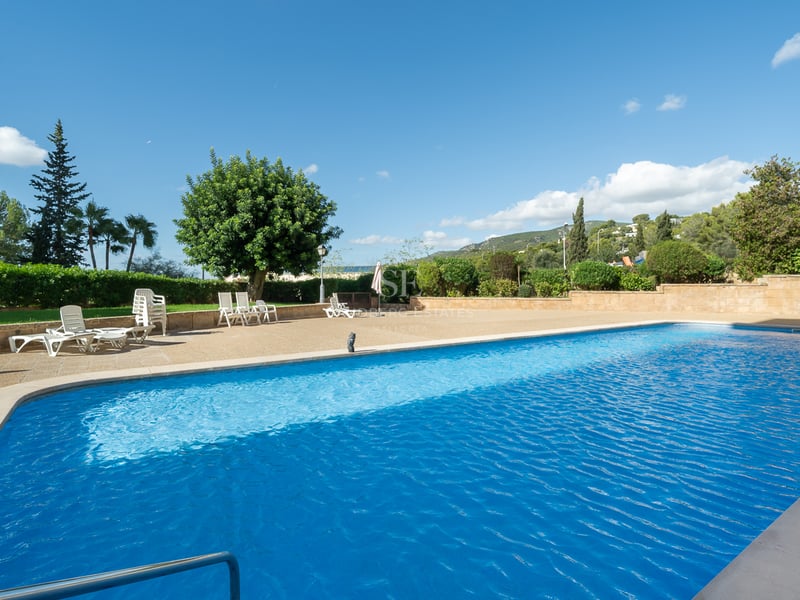Large blue swimming pool surrounded by a stone terrace with lounge chairs and trees under a clear sky.