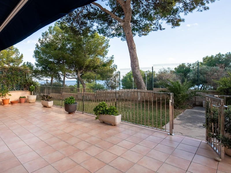 Großzügige Terrasse mit Terrakottafliesen, Edelstahlgeländer und Blick durch Pinien auf das Meer.